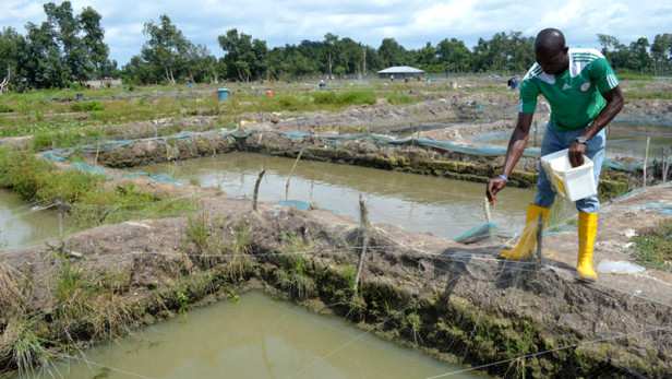 zXQwmwlv4c3tNOhOratuXSmF7jxMDunblya2Q_NdV1i-C4njTt-oB7SwQZXhuAOpucwyiOVsb5Xcf0_zOEWTeCunrWZ8ELvRATREiheuVQWe_N_iENbNpL4PtlHPOxgR_GYzsbAP