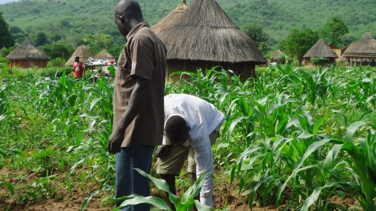 youth-farming-1140x641